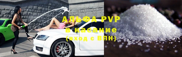стаф Алзамай