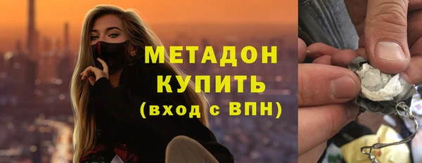 стаф Алзамай
