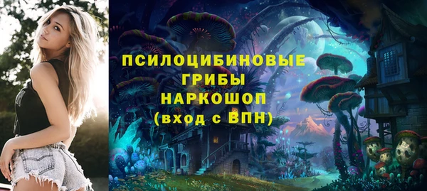 стаф Алзамай