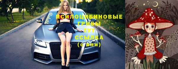 стаф Алзамай
