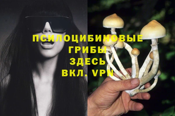 сатива Алексин