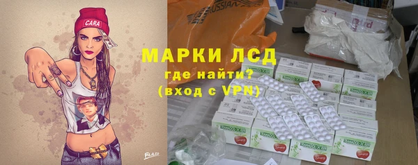 стаф Алзамай