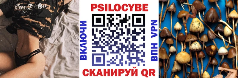 Псилоцибиновые грибы Magic Shrooms  купить  сайты  hydra   Игарка 